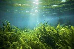 ai gegenereerd onderwater- visie van een groep van zeebedding met groen zeegras. ai gegenereerd foto