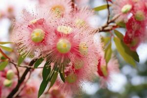 ai gegenereerd mooi gom boom roze bloemen en knoppen. ai gegenereerd foto