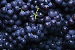 ai gegenereerd vlak leggen achtergrond van wijnstokken, veel van biologisch blauw donker druiven. ai gegenereerd foto