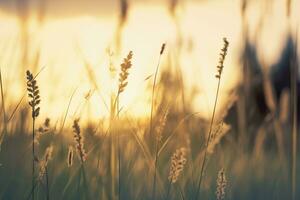 ai gegenereerd wild gras in de Woud Bij zonsondergang. abstract zomer natuur achtergrond. generatief ai foto