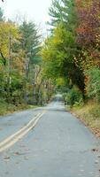 de mooi weg visie met de kleurrijk herfst bomen Aan beide sids in herfst foto