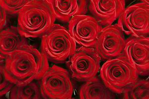 ai gegenereerd rood roos achtergrond voor Valentijnsdag dag. ai gegenereerd foto