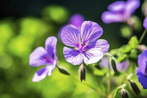 ai gegenereerd geranium wilfordii bloem. ai gegenereerd foto