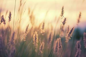 ai gegenereerd wild gras in de Woud Bij zonsondergang. abstract zomer natuur achtergrond. generatief ai foto