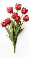 ai gegenereerd rood tulpen geïsoleerd Aan wit achtergrond. ai gegenereerd foto