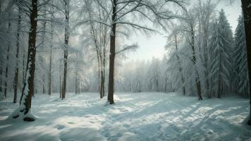 ai gegenereerd onderzoeken de kalmte van winter met een adembenemend Woud achtergrond, presentatie van met sneeuw bedekt bomen en een zacht palet van koel blues en blanken. foto