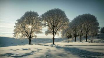 ai gegenereerd verbeelden de subtiel Speel van licht en schaduw Aan een besneeuwd landschap, markeren de gedetailleerd texturen van boom takken in winter. foto