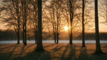 ai gegenereerd detail de subtiel variaties in kleur net zo de winter zon sets achter een kreupelhout van esdoorn- bomen. foto