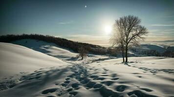 ai gegenereerd creëren een tafereel waar de maanlicht afgietsels lang schaduwen van dor takken Aan een met sneeuw bedekt heuvel. foto