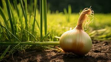 ai gegenereerd vers knoflook Aan de veld- met licht blootstelling ai generatief foto