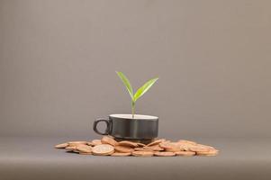 ideeën om inkomen te laten groeien, beleggen, aandelen, sparen foto