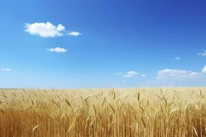 ai gegenereerd tarwe veld- onder blauw lucht. ai gegenereerd foto