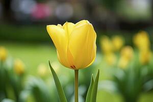 ai gegenereerd geel tulp in de tuin. ai gegenereerd foto