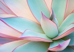 ai gegenereerd agave bladeren in modieus pastel kleuren voor ontwerp achtergronden. ai gegenereerd foto