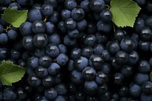 ai gegenereerd vlak leggen achtergrond van wijnstokken, veel van biologisch blauw donker druiven. ai gegenereerd foto