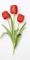 ai gegenereerd rood tulpen geïsoleerd Aan wit achtergrond. ai gegenereerd foto