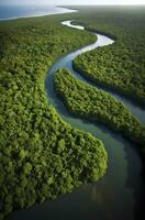 ai gegenereerd antenne visie van de amazonas oerwoud landschap met rivier- kromming. generatief ai foto