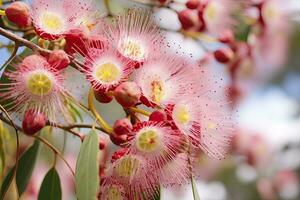 ai gegenereerd mooi gom boom roze bloemen en knoppen. ai gegenereerd foto