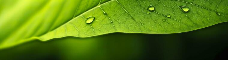 ai gegenereerd groen blad natuur achtergrond. ai gegenereerd foto