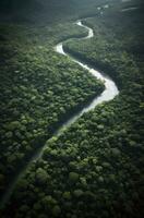 ai gegenereerd antenne visie van de amazonas oerwoud landschap met rivier- kromming. generatief ai foto