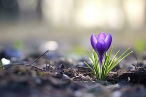 ai gegenereerd voorjaar Purper krokus bloem. ai gegenereerd foto