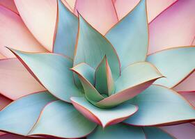 ai gegenereerd agave bladeren in modieus pastel kleuren voor ontwerp achtergronden. ai gegenereerd foto