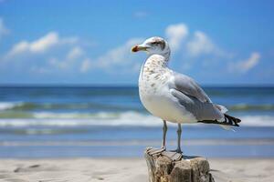 ai gegenereerd zeemeeuw Aan de strand onder blauw lucht. foto