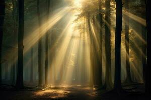 ai gegenereerd zonnestralen schijnend door de bomen in een mistig Woud, een diep, mysterieus Woud met stralen van zonlicht filteren door de bomen, ai gegenereerd foto