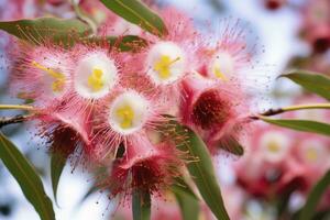 ai gegenereerd mooi gom boom roze bloemen en knoppen. ai gegenereerd foto