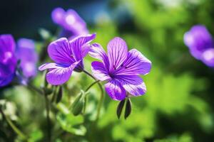 ai gegenereerd geranium wilfordii bloem. ai gegenereerd foto