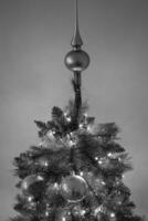 Kerstmis boom in Duitsland foto