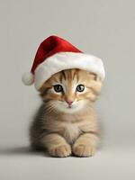 ai gegenereerd schattig katje Aan de kerstman hoed behang foto