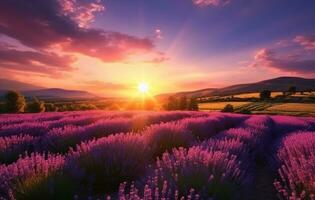 ai gegenereerd lavendel veld- landschap in een mooi zonsondergang foto