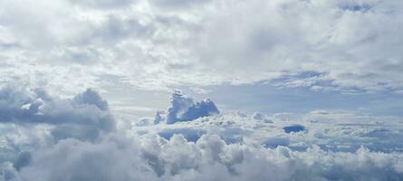 Leuk vinden dromen van wezen in een zacht wolk bed foto