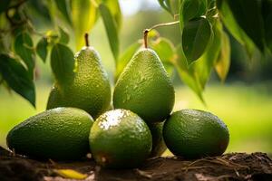 ai gegenereerd portret avocado Aan de veld- met licht blootstelling ai generatief foto