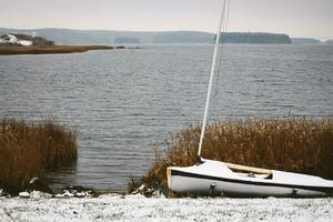 wit boot links Aan sneeuw in de buurt bevroren winter meer met bruin riet foto