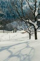 sneeuw helling platteland winter zonnig landschap foto