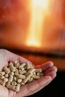 hand- Holding pellets in voorkant van de glas van een fornuis met een mooi vlam foto