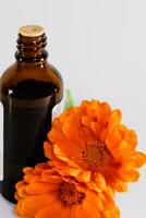 calendula officinalis bloemen en olie fles Aan wit achtergrond, asteraceae, calenduleae foto