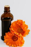 calendula officinalis bloemen en olie fles Aan wit achtergrond, asteraceae, calenduleae foto