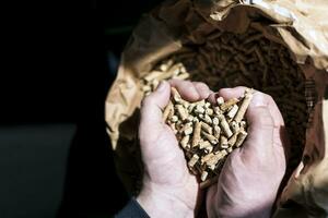 man's handen Holding Spar pellet bovenstaand een kraft zak foto