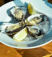 fijnproever schotel van middellandse Zee oesters foto