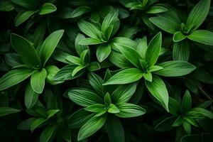 ai gegenereerd dynamisch schoonheid boeiend beeld van groen bladeren sierlijk geschorst in de lucht ai gegenereerd foto