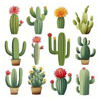 ai gegenereerd de cactus reeks Aan wit achtergrond. clip art illustraties. ai gegenereerd foto