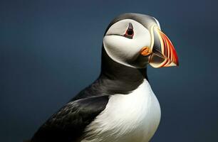 ai gegenereerd atlantic papegaaiduiker vogel. ai gegenereerd foto