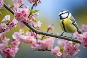 ai gegenereerd een bluetit vogel resting Aan de Afdeling van een boom. ai gegenereerd. foto