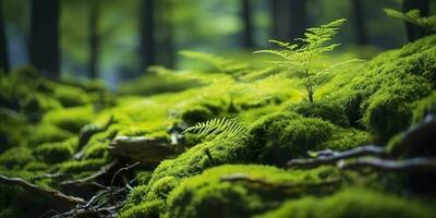 ai gegenereerd groen mos detailopname, met een backdrop van bos. Woud in de nationaal park. ai gegenereerd foto