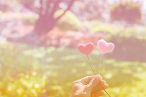 garen horen met natuur achtergrond bokeh voor Valentijnsdag foto