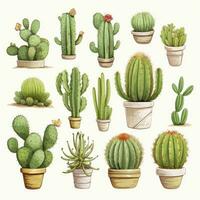 ai gegenereerd de cactus reeks Aan wit achtergrond. clip art illustraties. ai gegenereerd foto