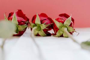 close-up shot van rode rozen op een witte tafel